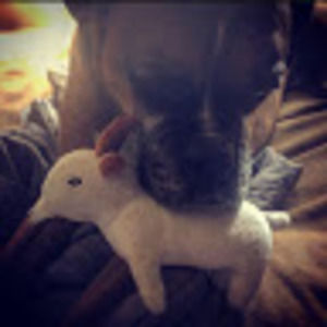 Meet your Posher, Carrie